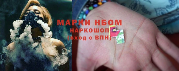 стаф Надым