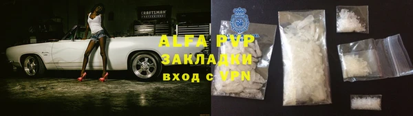 стаф Надым
