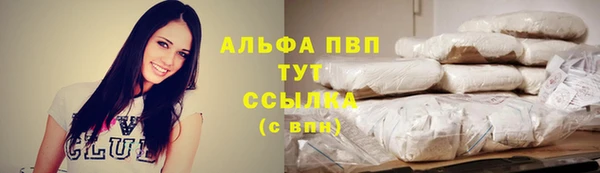 стаф Надым