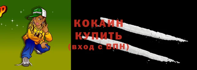 стаф Надым