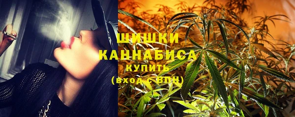 стаф Надым