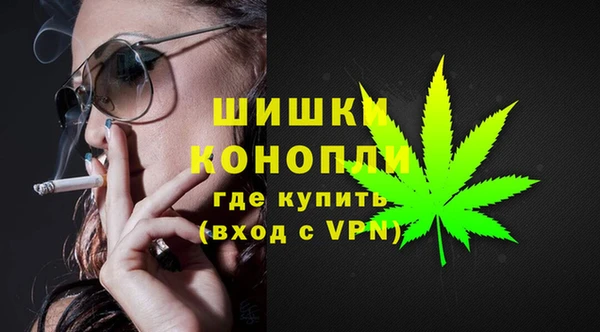 стаф Надым