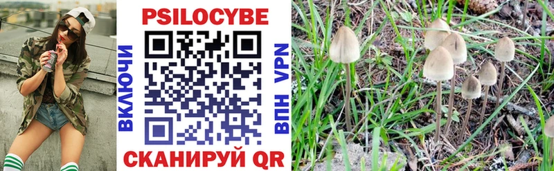 Галлюциногенные грибы Magic Shrooms  Брянск 