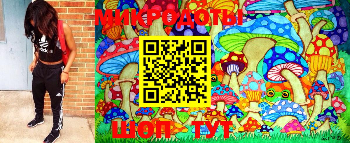 Псилоцибиновые грибы прущие грибы  цены наркотик  Галлюциногенные грибы Magic Shrooms  Брянск 