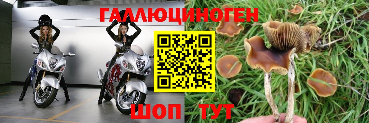 Галлюциногенные грибы ЛСД Брянск