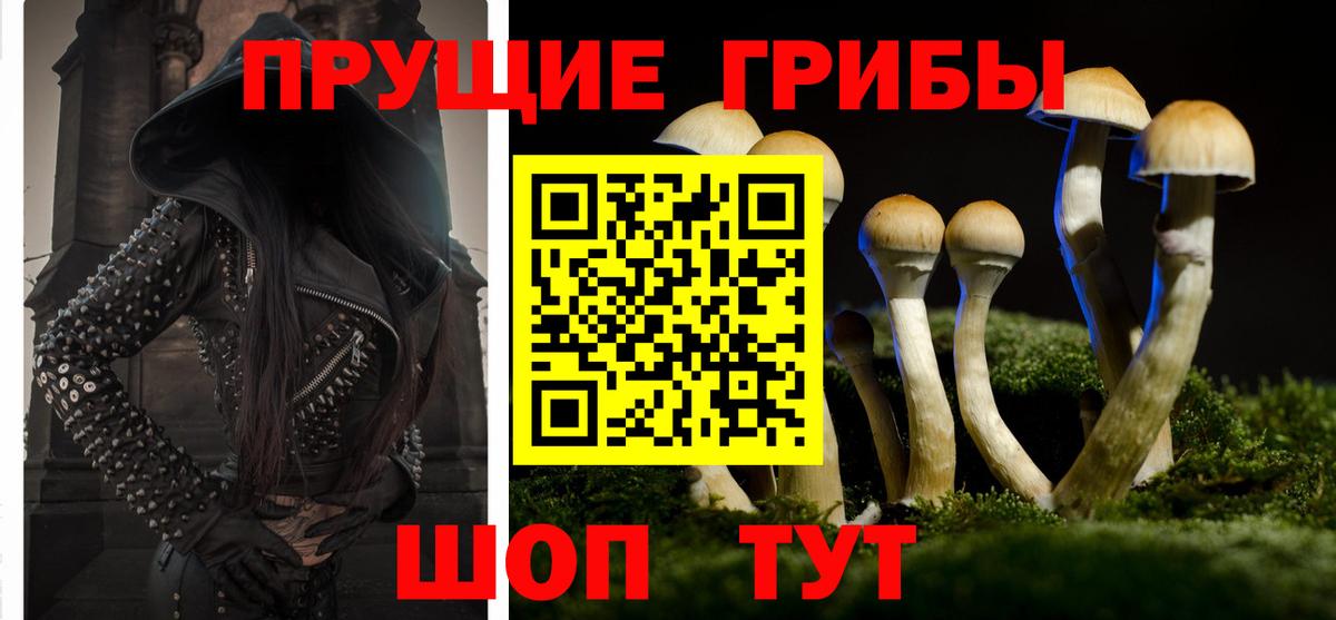 Псилоцибиновые грибы Psilocybe  Галлюциногенные грибы MAGIC MUSHROOMS  хочу   Брянск  Вход с VPN 
