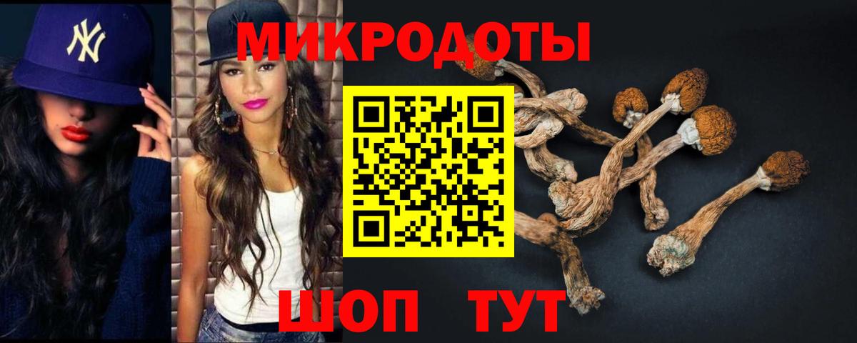 Псилоцибиновые грибы Psilocybe Брянск